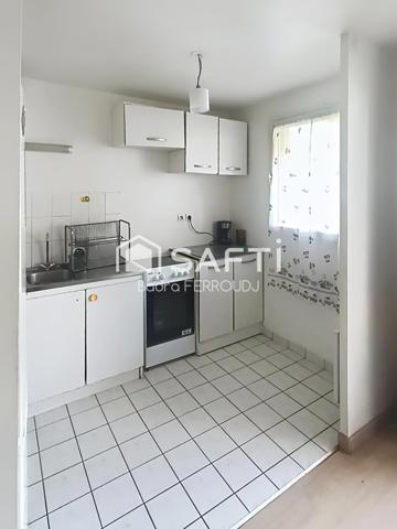 Appartement lumineux et spacieux