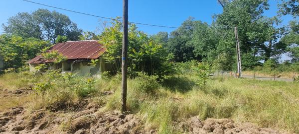 Maison typique à rénover à Saint-Hilaire-de-Riez (secteur Fradinière)