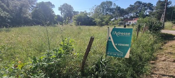 Maison typique à rénover à Saint-Hilaire-de-Riez (secteur Fradinière)
