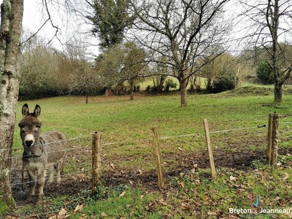 Terrain de loisirs à Vimartin sur Orthe