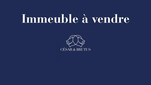 Immeuble 570 m² – Idéal investisseur