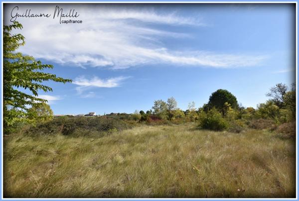 Terrains agricoles à vendre ROUJAN 13 660m²