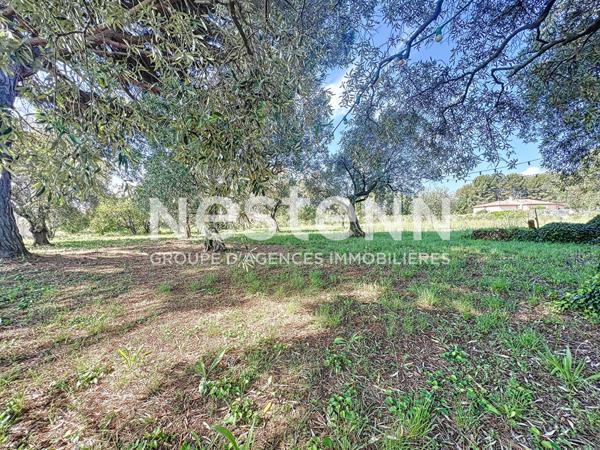 Bastide 550m2 - La Motte