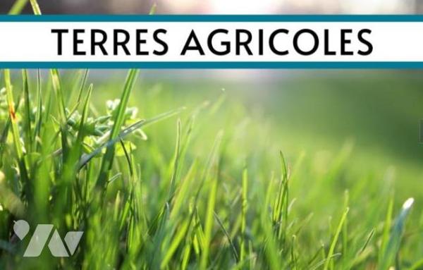 Terrains agricoles sur GENETS