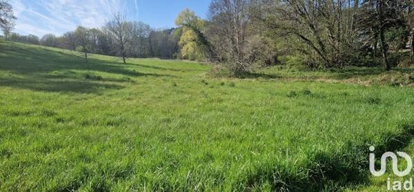 Terrain à vendre 6 088 m² Neuvic