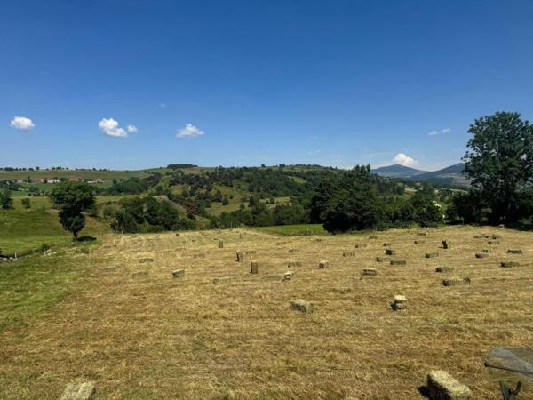 Ensemble immobilier Rare avec une vue imprenable