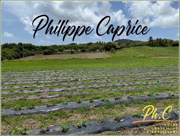 Terrain à vendre LE VAUCLIN (972)