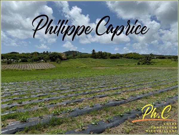 Terrain à vendre LE VAUCLIN (972)