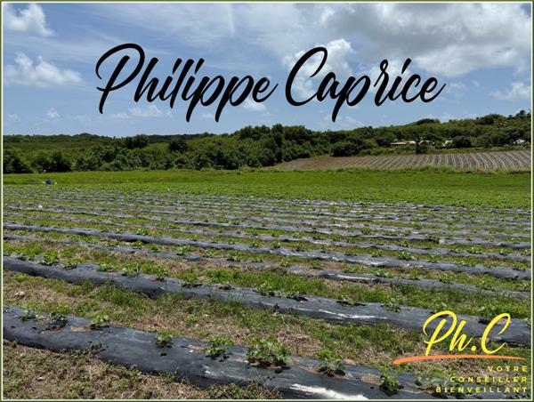 Terrain à vendre LE VAUCLIN (972)