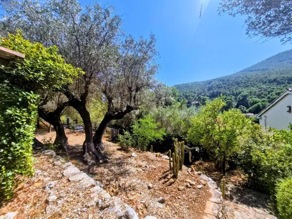 Achat - Maison La Valette-du-Var 83160 9 pièces 220 m 2 3100 m 2