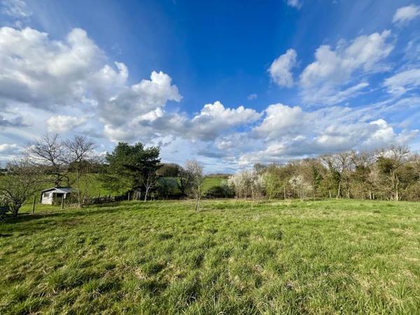 Terrain à vendre |  Menetou-Salon |  1980 m²