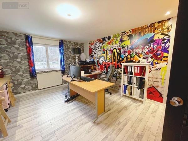 Immeuble à vendre à Saint-Nabord dans les Vosges (88200), ref : 1214/1125-88038