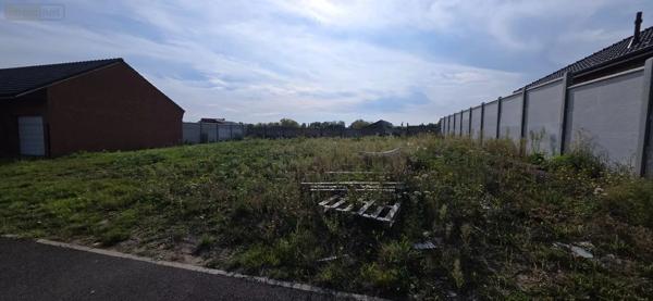 Achat - Terrain à bâtir Escautpont 59278 425 m 2 425 m 2