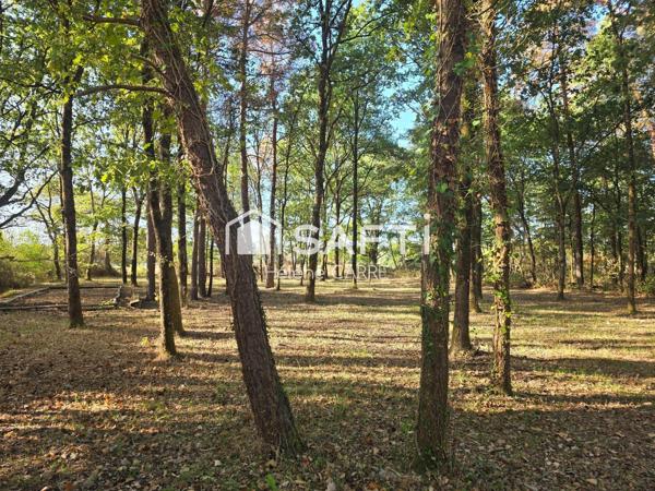 Terrain de loisir avec petit étang de -1 000 m²