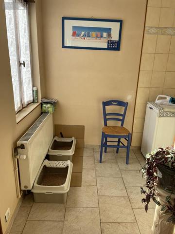 Maison à vendre à Caudry dans le Nord (59540), ref : 59191-5793