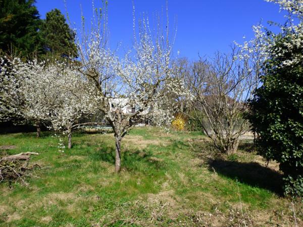 À vendre Colmar  Quartier des Maraîchers - Maison d'architecte à rénover.