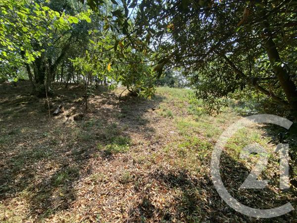 Terrain à vendre  369 m 2   SAVENAY  - 44