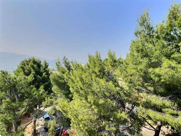 Appartement 4 pièce(s) 75 m2 avec loggia