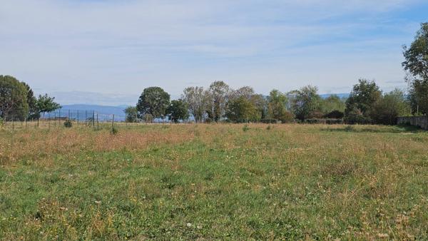 ST ANDRE LE GAZ - Terrain à bâtir - 3877m² - Libre constructeur