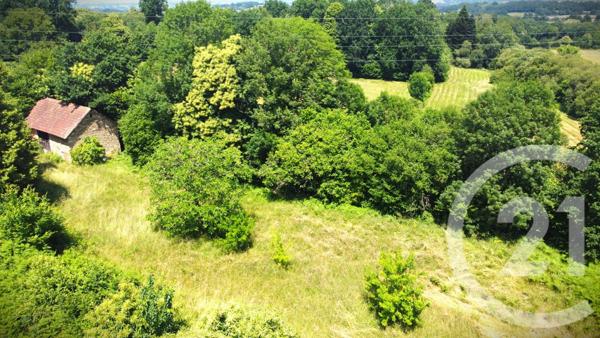 Terrain à vendre  2500 m2 VICQ SUR BREUILH - 87