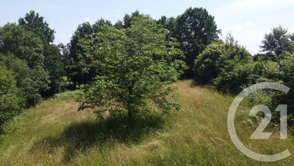 Terrain à vendre  2500 m2 VICQ SUR BREUILH - 87