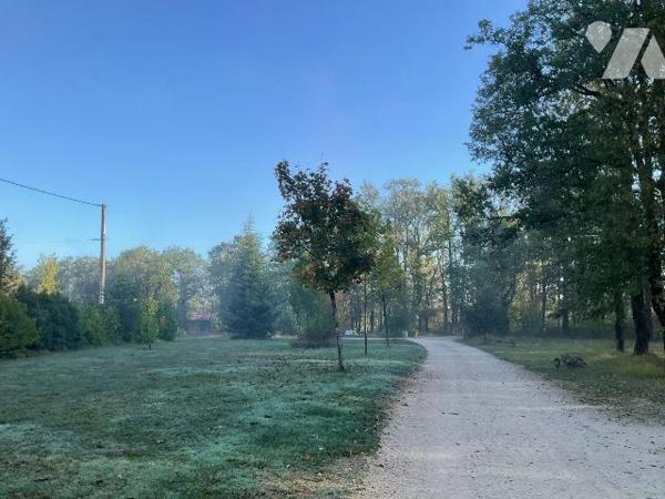 A VENDRE : Complexe d'hébergement touristique : dans un magnifique cadre de verdure, bel ensemb...