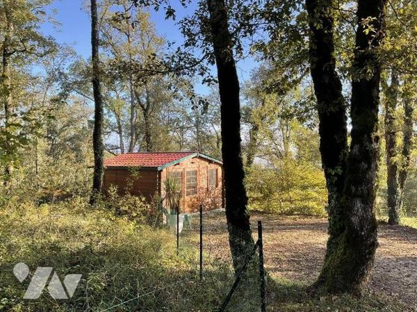 A VENDRE : Complexe d'hébergement touristique : dans un magnifique cadre de verdure, bel ensemb...