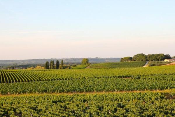Propriété avec vue dégagée sur le vignoble du sauternais