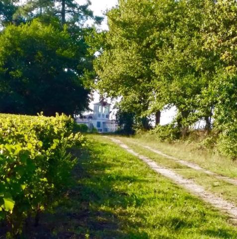 Propriété avec vue dégagée sur le vignoble du sauternais