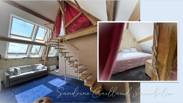 À 50 min de Paris - Propriété de charme 229 m² avec dépendance contemporaine et jardin - 5 chambres - 1084 m² de terrain - 488800 Euros HAI