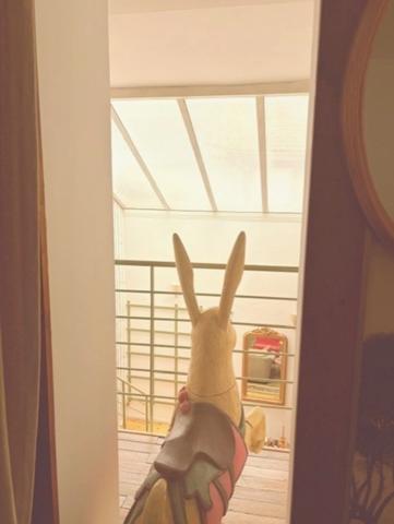 MARCIAC (32): élégante MAISON en pierre, singulière, 170m2 SANS TRAVAUX 4 chambres, salon cathedrale et autres...