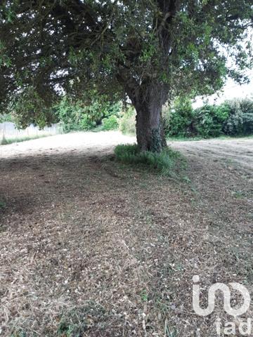 Terrain à vendre 2 315 m² Saint-Pierre-d'Oléron