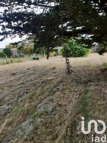 Terrain à vendre 2 315 m² Saint-Pierre-d'Oléron