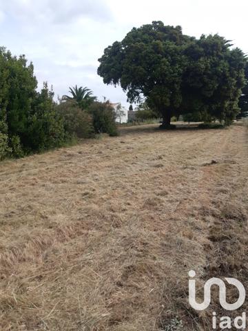 Terrain à vendre 2 315 m² Saint-Pierre-d'Oléron