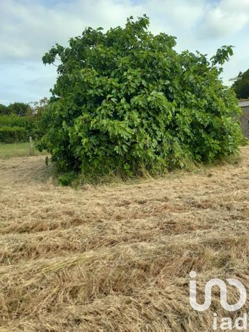 Terrain à vendre 2 315 m² Saint-Pierre-d'Oléron