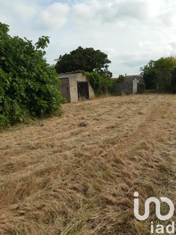 Terrain à vendre 2 315 m² Saint-Pierre-d'Oléron