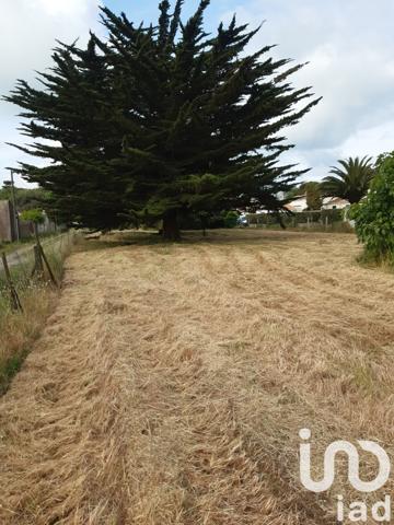 Terrain à vendre 2 315 m² Saint-Pierre-d'Oléron