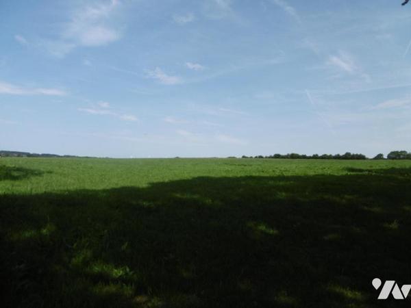 MONTCHAUVET ET ST PIERRE TARENTAINE TERRES LABOURS ET HERBAGES LOUEES
