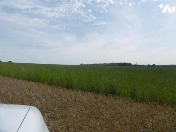 MONTCHAUVET ET ST PIERRE TARENTAINE TERRES LABOURS ET HERBAGES LOUEES