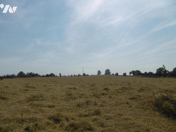 MONTCHAUVET ET ST PIERRE TARENTAINE TERRES LABOURS ET HERBAGES LOUEES