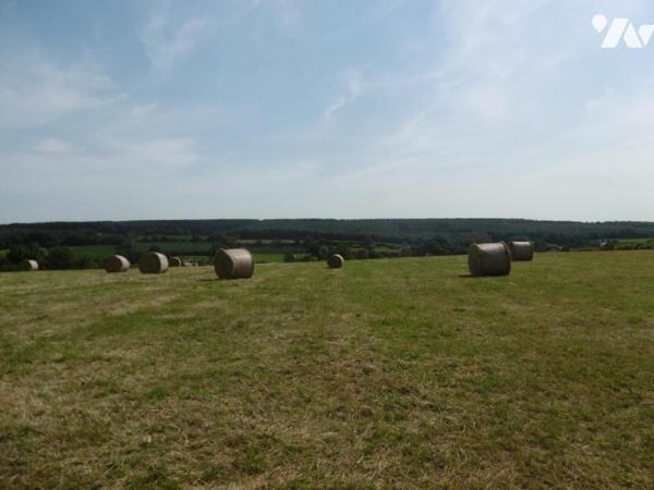 MONTCHAUVET ET ST PIERRE TARENTAINE TERRES LABOURS ET HERBAGES LOUEES
