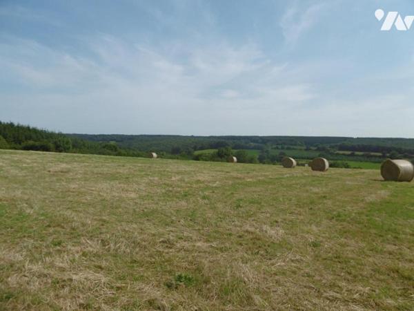 MONTCHAUVET ET ST PIERRE TARENTAINE TERRES LABOURS ET HERBAGES LOUEES
