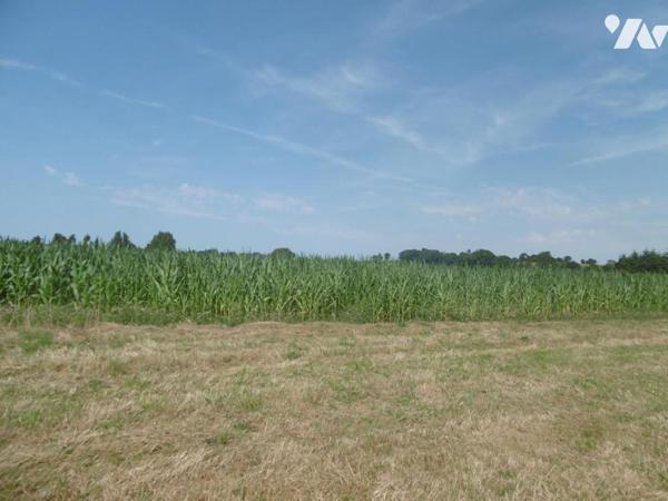 MONTCHAUVET ET ST PIERRE TARENTAINE TERRES LABOURS ET HERBAGES LOUEES