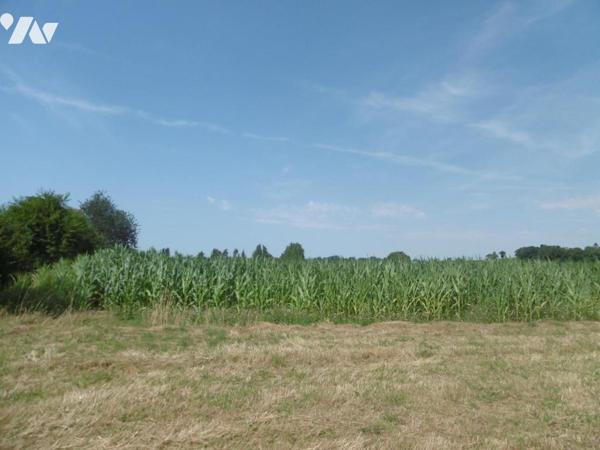 MONTCHAUVET ET ST PIERRE TARENTAINE TERRES LABOURS ET HERBAGES LOUEES