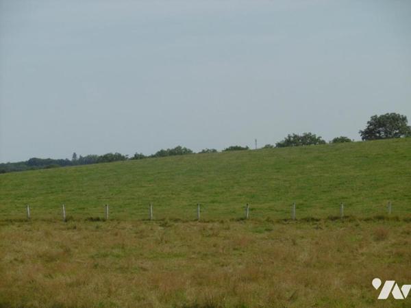 MONTCHAUVET ET ST PIERRE TARENTAINE TERRES LABOURS ET HERBAGES LOUEES