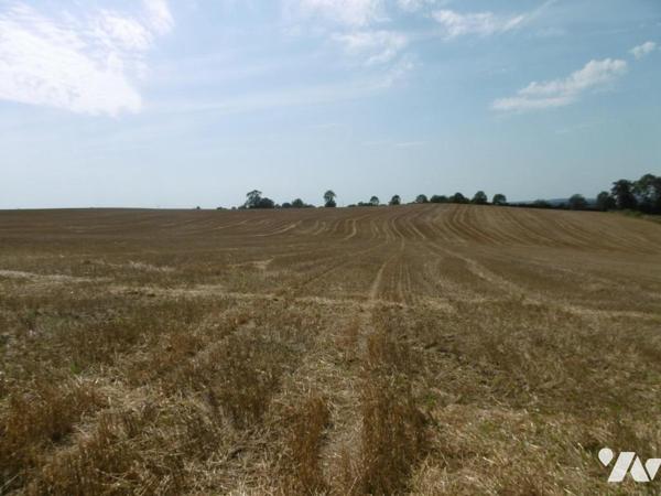 MONTCHAUVET ET ST PIERRE TARENTAINE TERRES LABOURS ET HERBAGES LOUEES