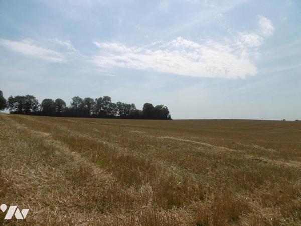 MONTCHAUVET ET ST PIERRE TARENTAINE TERRES LABOURS ET HERBAGES LOUEES
