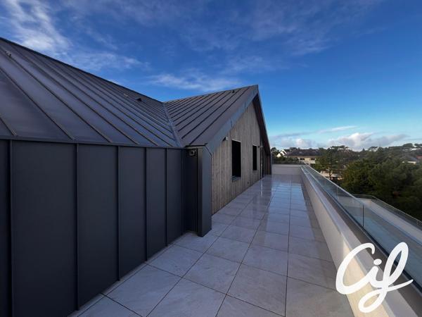 Appartement T5 et plus