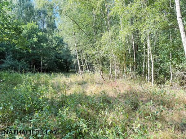 Orleans nord-ouest, à vendre , Ancienne Grange Rénovée au Cœur des Bois, 15 mn Orléans centre