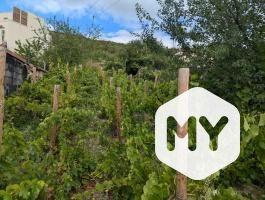 Maison • Vente • 255m2 • Chanteranne • Clermont-Ferrand 630 000 € FAI